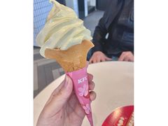 黄金奇异果冰淇淋花筒-肯德基(远洋店)