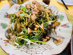 凉拌爽鱼皮-肥姐美食(同福中路店)