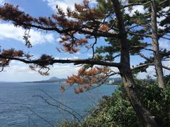 -柱状节理带