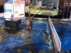 -盒马鲜生(莱蒙都会店)