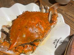 -老号尤兔头(幸福店)