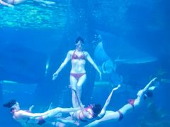 -泉城欧乐堡海洋极地世界