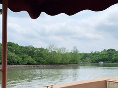 -东寨港红树林旅游区