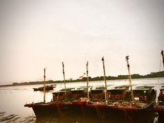 -大湾区中央湿地公园-十九涌