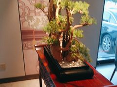 -顺峰(农展馆店)