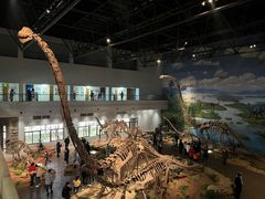 -自贡恐龙博物馆