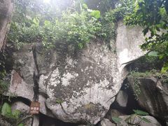 -呀诺达热带雨林