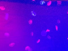 -多彩贵州城极地海洋世界