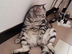 -美迦爱-牙专科·兔科·骨科诊疗中心(北苑店)