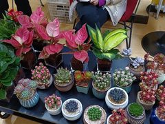 -悦健身游泳健身馆(宋家庄店)