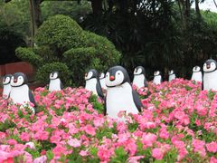 -松山湖南湖湾露营营地