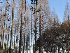 -新洲生态园