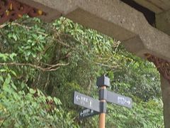 -天目山大树王景区