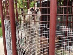 景点-南宫五洲植物乐园