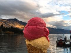 -Patagonia Chocolates(皇后镇店)