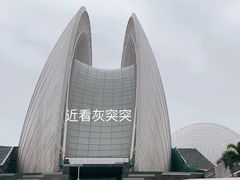 -野狸岛