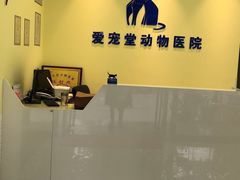 -瑞鹏宠物医院·爱宠堂(环西分院)