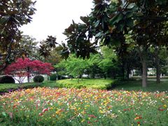 -上海鲜花港