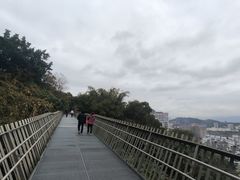 -福道