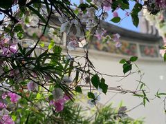 -深圳国际园林花卉博览园