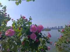 -艾溪湖湿地公园