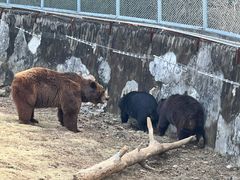 -无锡动物园·太湖欢乐园