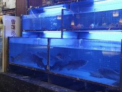 水产区-姜君·千岛湖鱼头馆(浦东大道店)