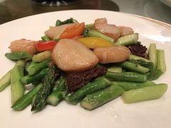 -金轩中餐厅 Jin Xuan(浦东丽思卡尔顿酒店)