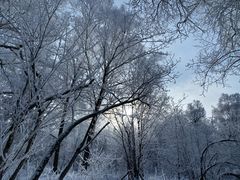 -雪谷