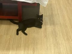 -源瑞康盲人推拿(尹山湖店)
