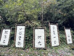 -西岭雪山大飞水景区