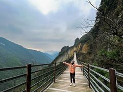 -武陵山森林公园