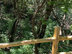 -云岫谷自然风景区