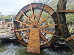 -广州白江湖森林公园