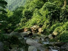 -众神白水涧景区