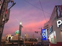 -名古屋城
