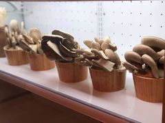 自培鲜蘑-大匠工房古船木艺术餐厅·猪肚鸡专门店(长白仙岛店)
