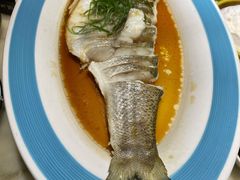 -天天鱼港·海鲜·鲅鱼水饺·招牌烤鸭(黄骅店)