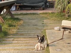 -悦哉·派对·草坪婚礼·围炉煮茶(三圣乡店)