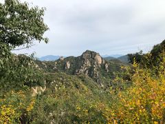 -大岭沟猕猴桃谷风景区