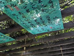 -白马涧龙池景区