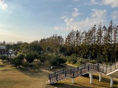 -前小桔亲子创意农场·草莓采摘·露营烧烤