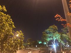 -桐乡凤凰湖