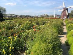 -北纬44度·金珠花海休闲农业旅游景区