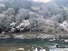-岚山嵯峨野观光小火车