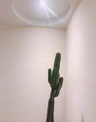 -康颜SPA自然疗愈皮肤管理中心
