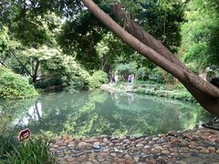 -成都市活水公园