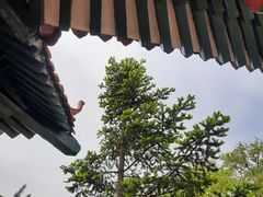 -沈阳辉山风景区