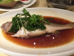 -贴阁碧(百丈东路店)