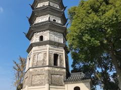 -苏州上方山国家森林公园